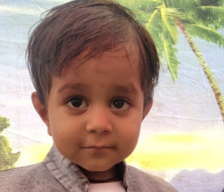 कराड : कुत्र्यांच्या हल्ल्यात तीन वर्षाचा चिमुकला ठार