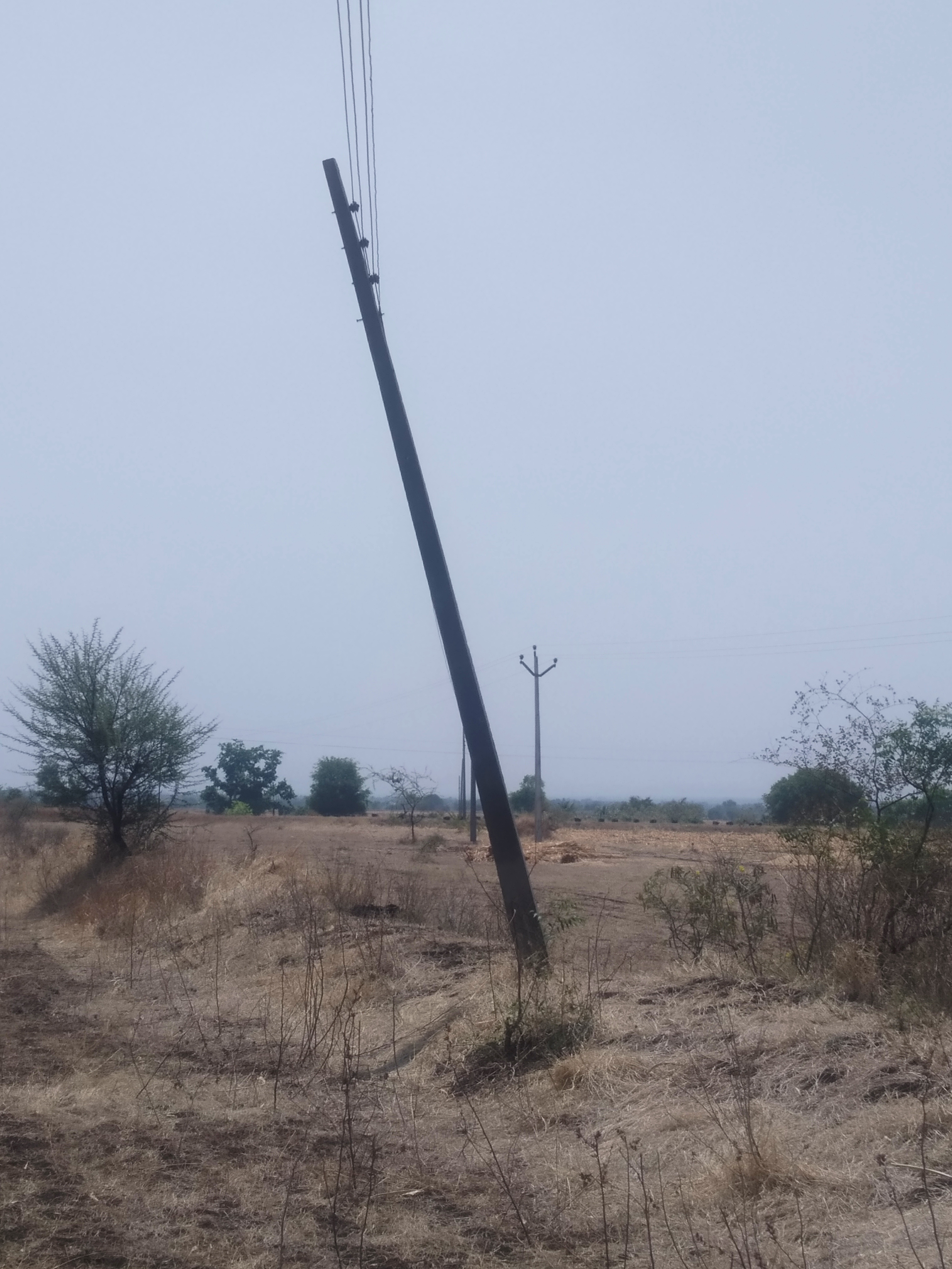 धोकादायक व वाकलेल्या विद्युत पोलची दुरुस्ती करावी; शेतकर्‍यांची मागणी