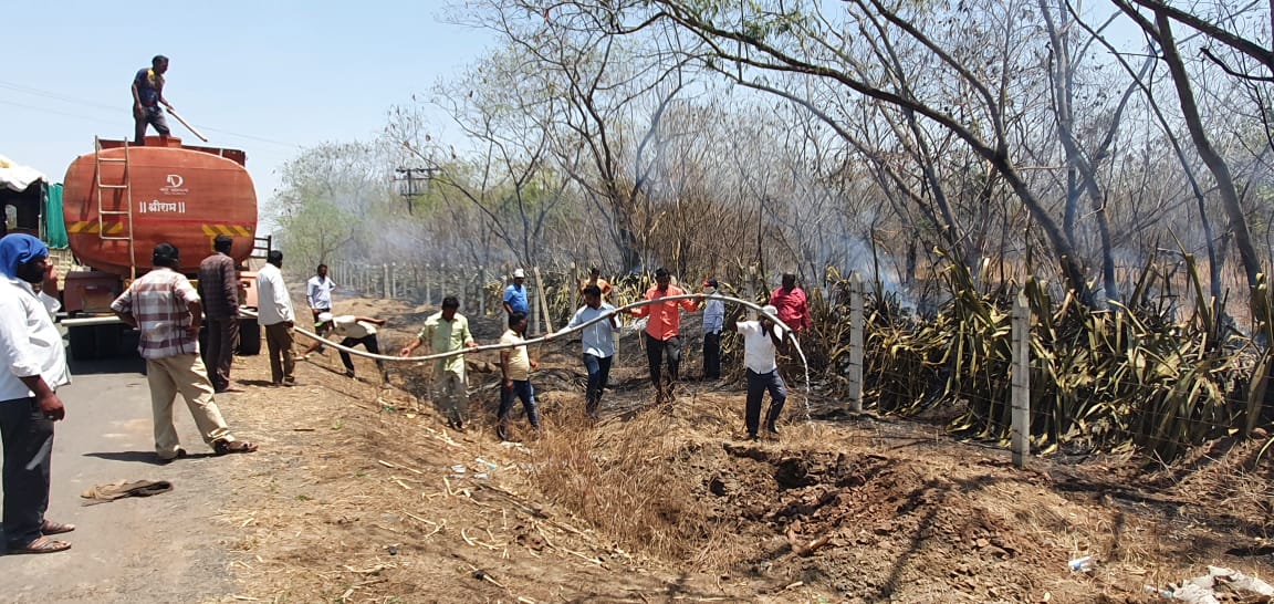 मायणी वनक्षेत्राला शॉर्ट सर्किटमुळे आग