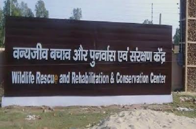 राज्यातील दुसरे वन्यजीव उपचार केंद्र वराडे येथे मंजूर