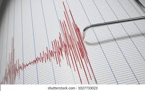 भूकंपाच्या धक्क्याने कोयना परिसर हादरला  