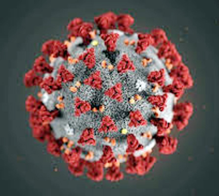 खटावमध्ये एकाच कुटुंबातील चौघांचे कोरोना रिपोर्ट पॉझिटिव्ह