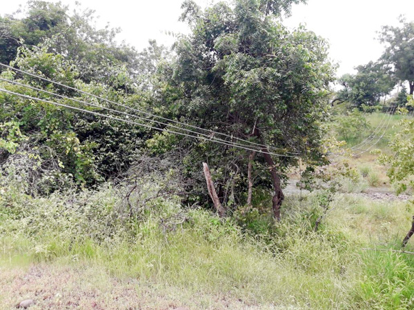 दडसवस्तीच्या ओढ्यावर लोंबकळणार्‍या वीज तारा ठरताहेत धोकादायक