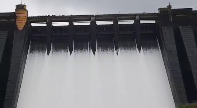 पावसाचा जोर कायम: कोयना धरणातून पाण्याचा विसर्ग वाढविणार