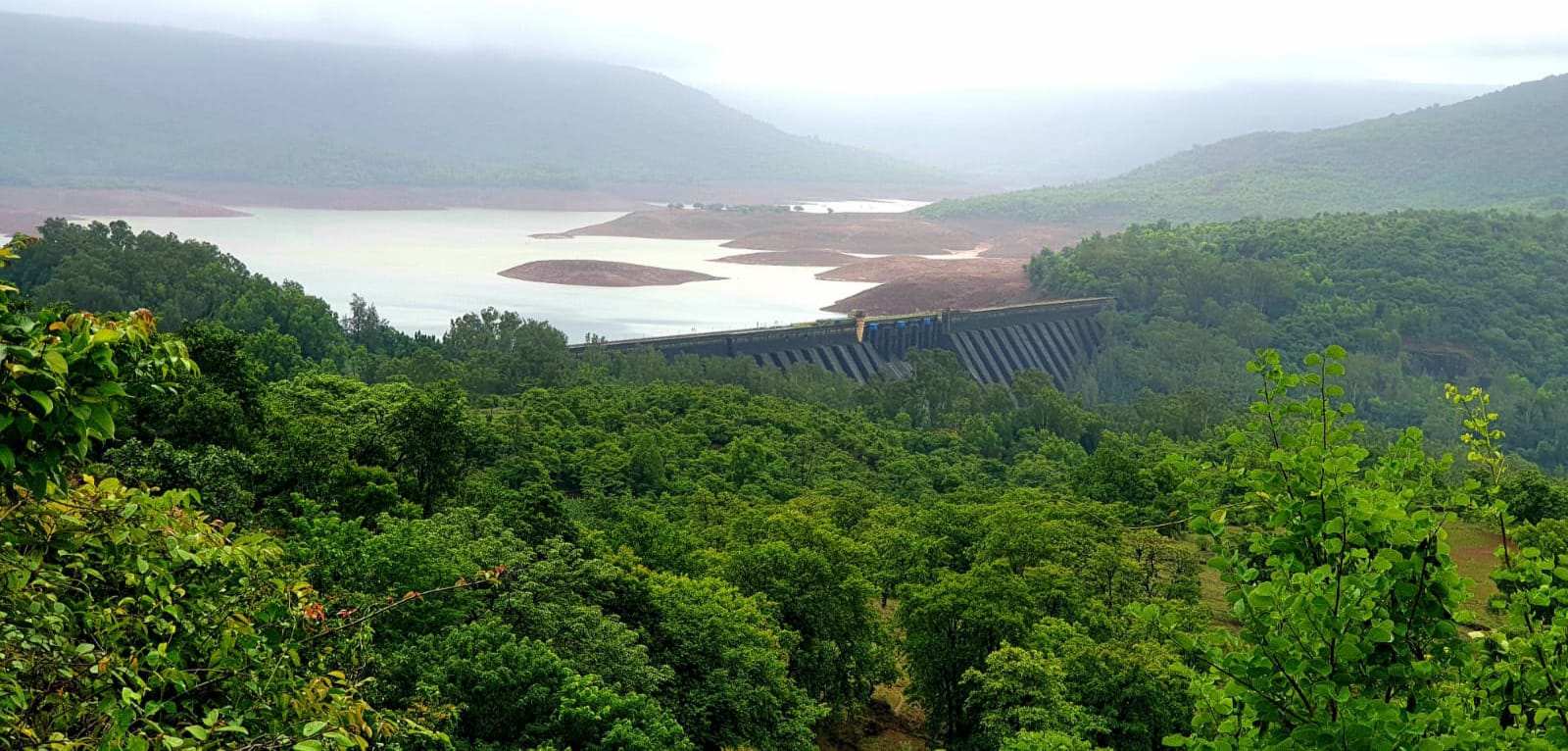  कोयना धरणात 24 तासात 2 टीएमसी पाणीसाठा वाढला  