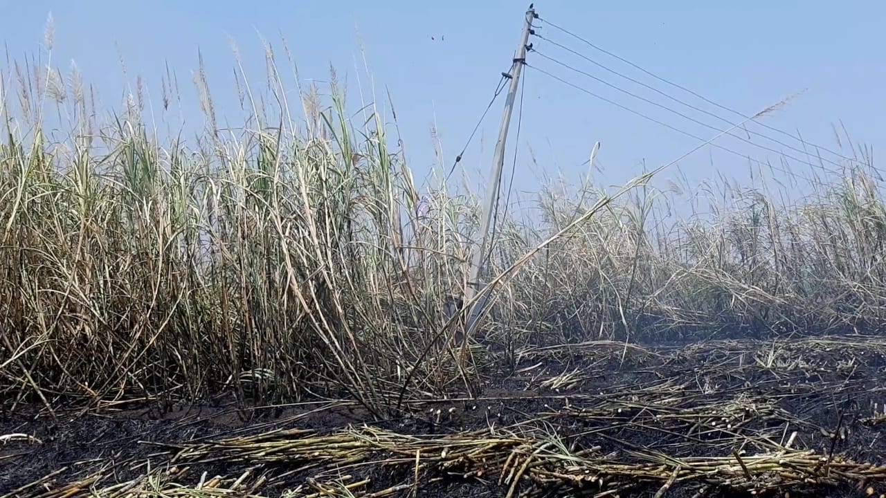 सातेवाडी येथे ऊस जळून खाक; सुमारे एक लाखाचे नुकसान 