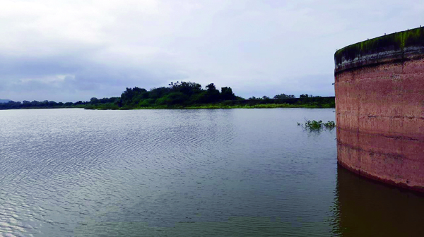 संततधार पावसामुळे खटाव तालुक्यातील नेर तलावाच्या पाणीसाठ्यात वाढ