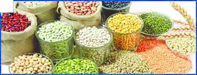 पचायला जड म्हणून नका थांबवू डाळ खाणे