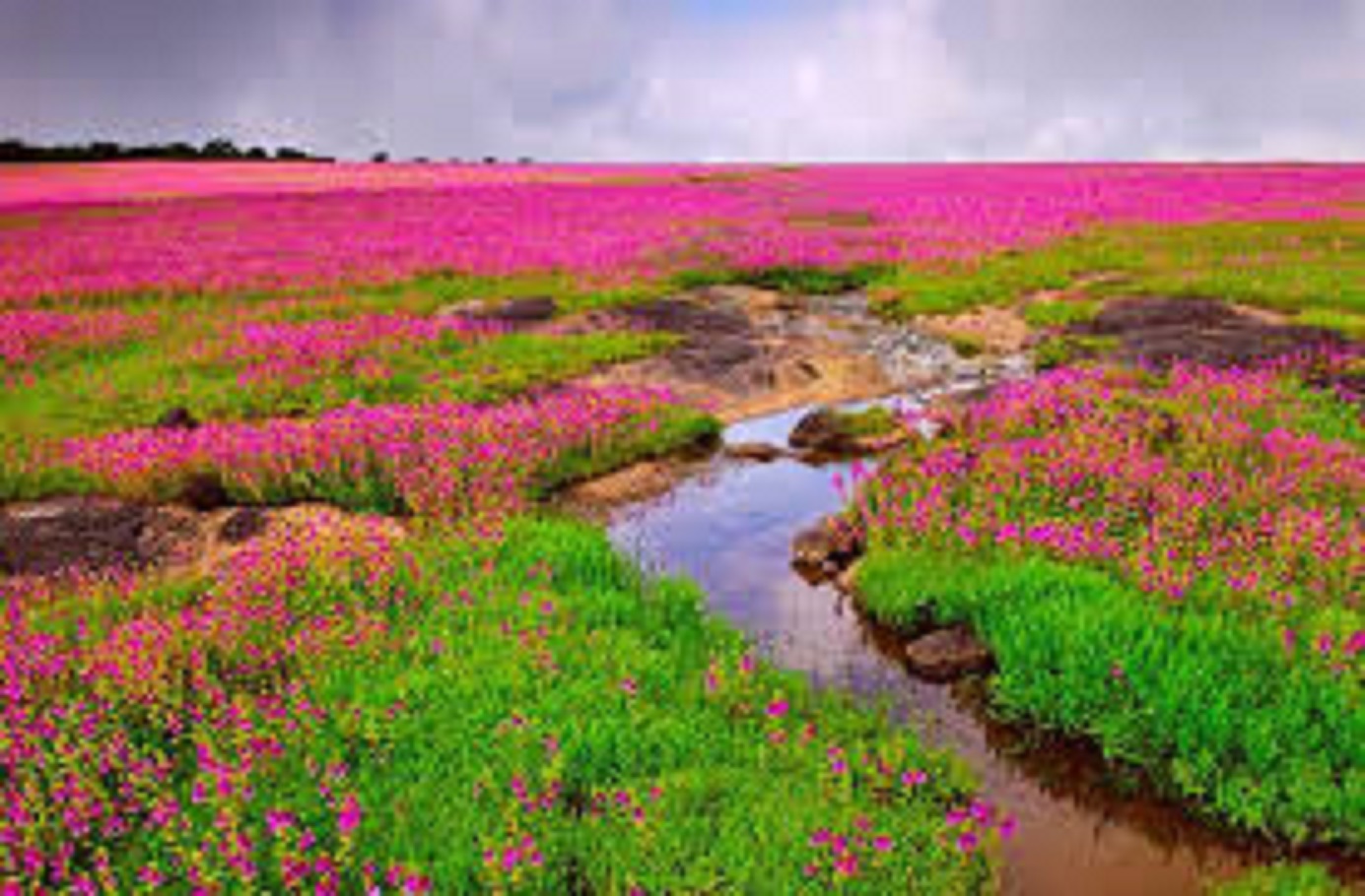 जिल्ह्यातील पर्यटन बंदी मागे जिल्हाधिकार्‍यांचे आदेश 