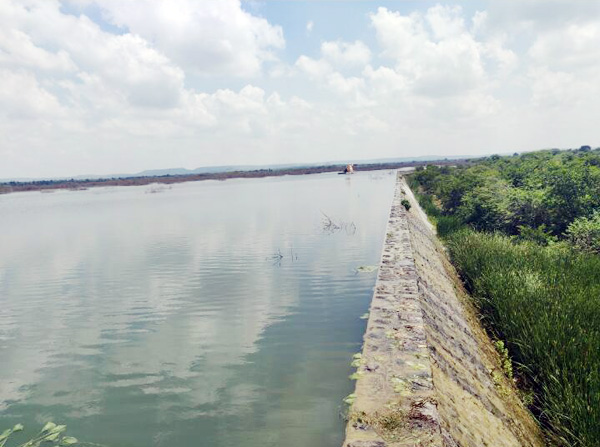 मायणीचा ब्रिटिशकालीन तलाव वाहतोय ओसंडून