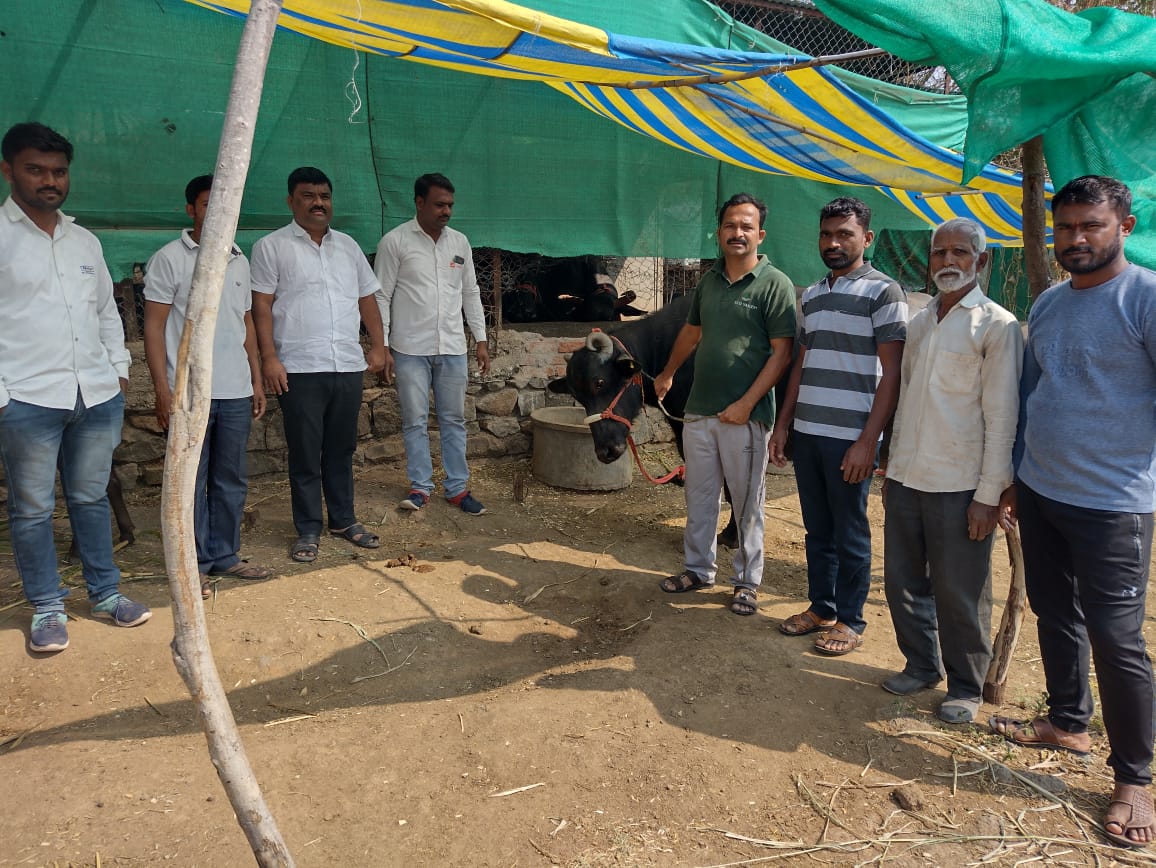 शेती व्यवसायाबरोबर दुग्ध व्यवसाय वाढवणे गरजेचे