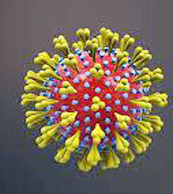 उत्तर कोरेगावातील देऊर गाव बनले ‘कोरोना’चे हॉटस्पॉट