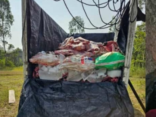 तब्बल चार टन म्हैस वर्गीय जनावराच्या मांसाची वाहतूक करणारा टेम्पो पकडला 