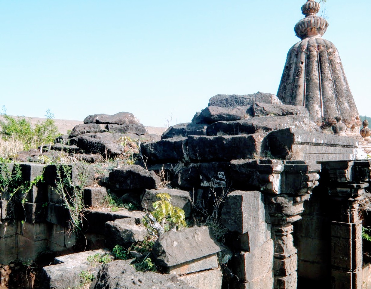 परळीतील पुरातन मंदिराची पुरातत्व विभागाने जपवणूक करावी 