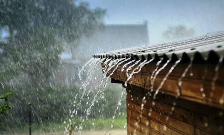  कोयना पाणलोट क्षेत्रात मुसळधार पाऊस  