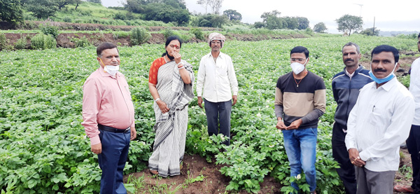माण तालुक्याची शेती क्षेत्रातील कामगिरी उल्लेखनीय 