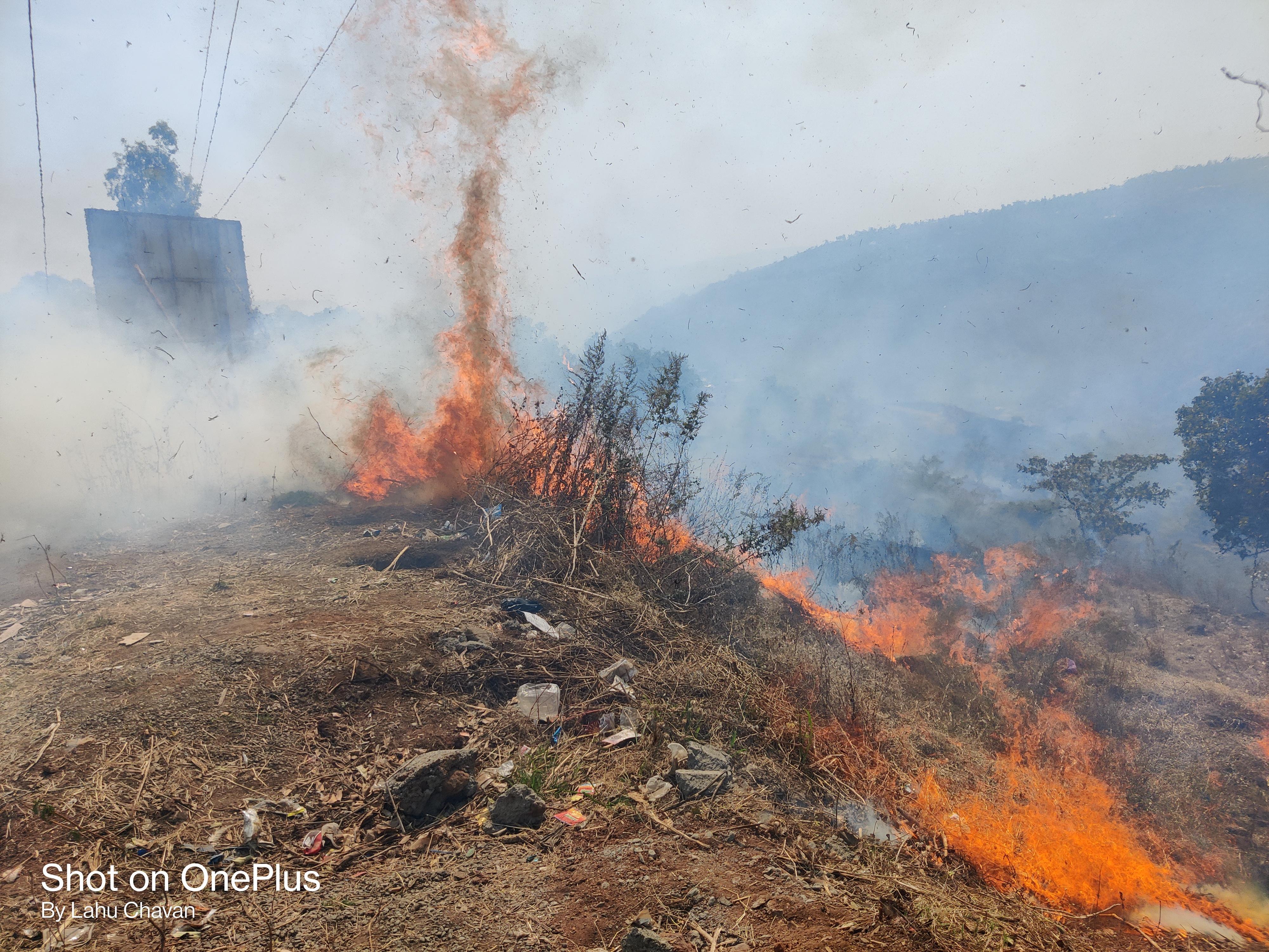 भिलार ‘वॉटरफॉल’ नजीकच्या डोंगरात वणवा
