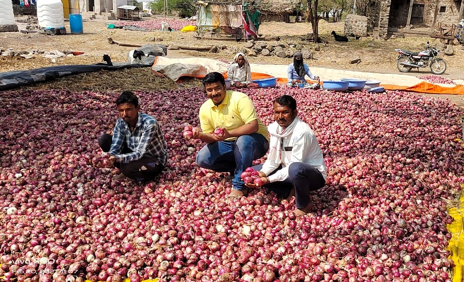 कुरणेवाडीच्या खांडेकर बंधूंचे अडीच एकरात कांद्याचे 12 लाखांचे उत्पन्न