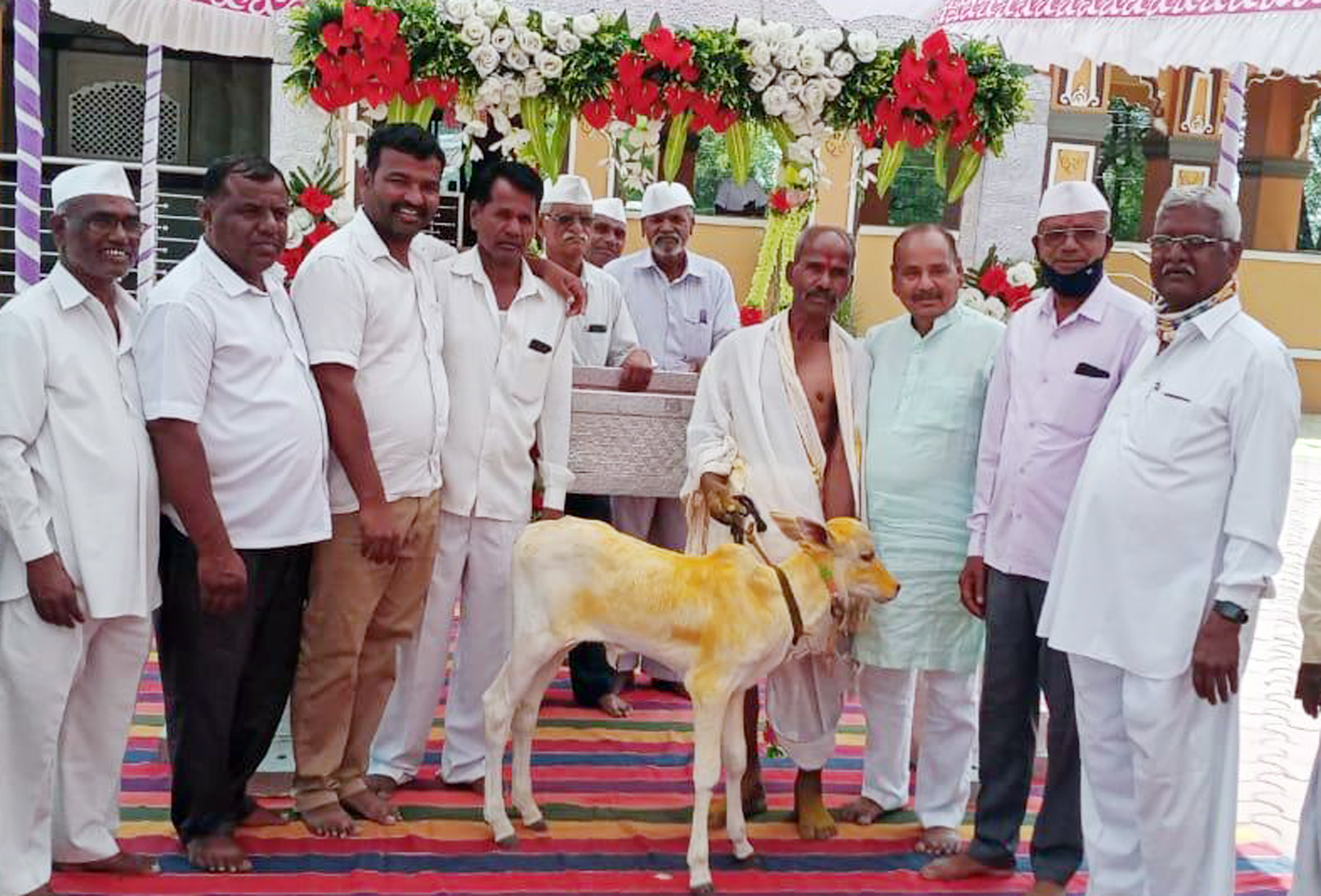 खटाव तालुक्यात रंगला खिलारी वासराचा नामकरण सोहळा